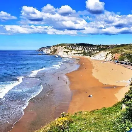 Spacious And Bright Downtown In *